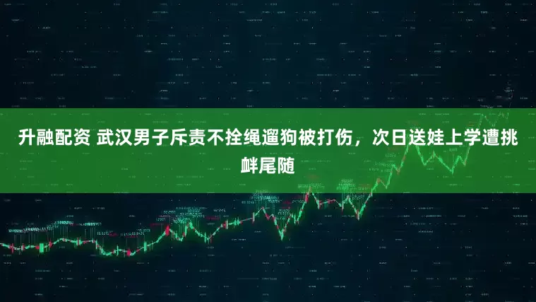 升融配资 武汉男子斥责不拴绳遛狗被打伤，次日送娃上学遭挑衅尾随
