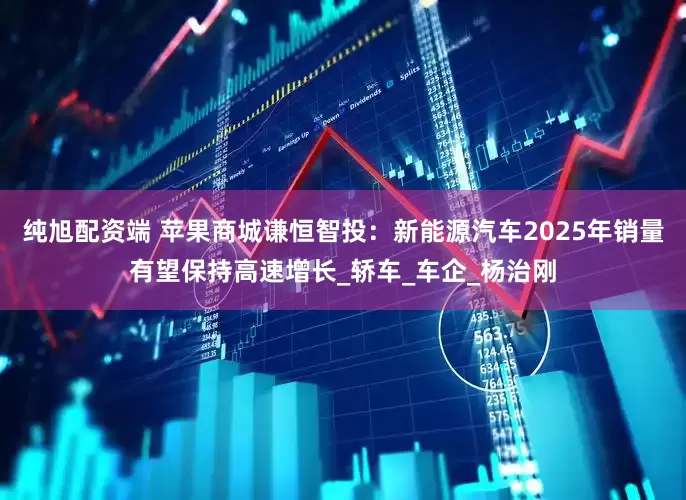 纯旭配资端 苹果商城谦恒智投：新能源汽车2025年销量有望保持高速增长_轿车_车企_杨治刚