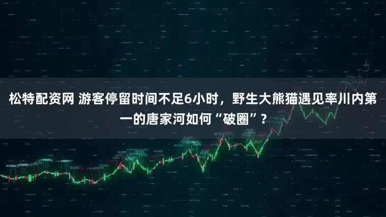 松特配资网 游客停留时间不足6小时，野生大熊猫遇见率川内第一的唐家河如何“破圈”？