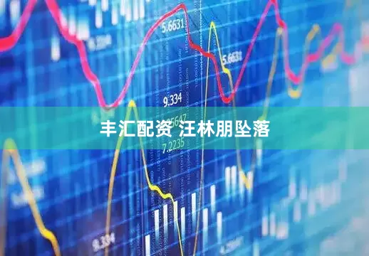丰汇配资 汪林朋坠落