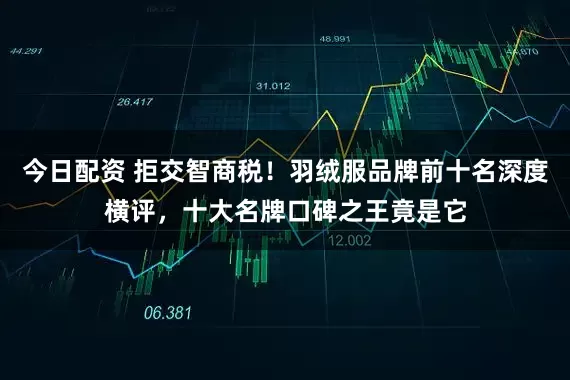 今日配资 拒交智商税！羽绒服品牌前十名深度横评，十大名牌口碑之王竟是它